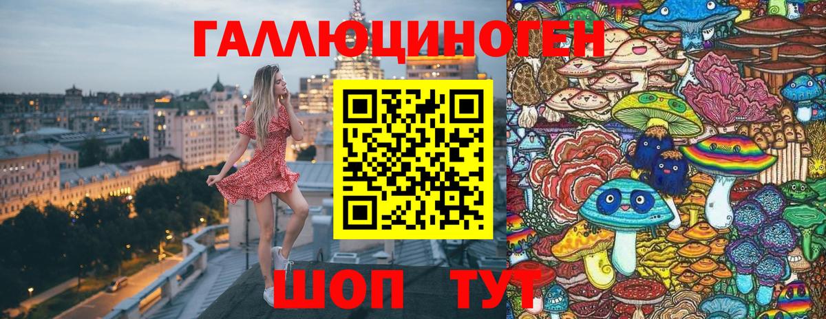 Галлюциногенные грибы Cubensis Клин