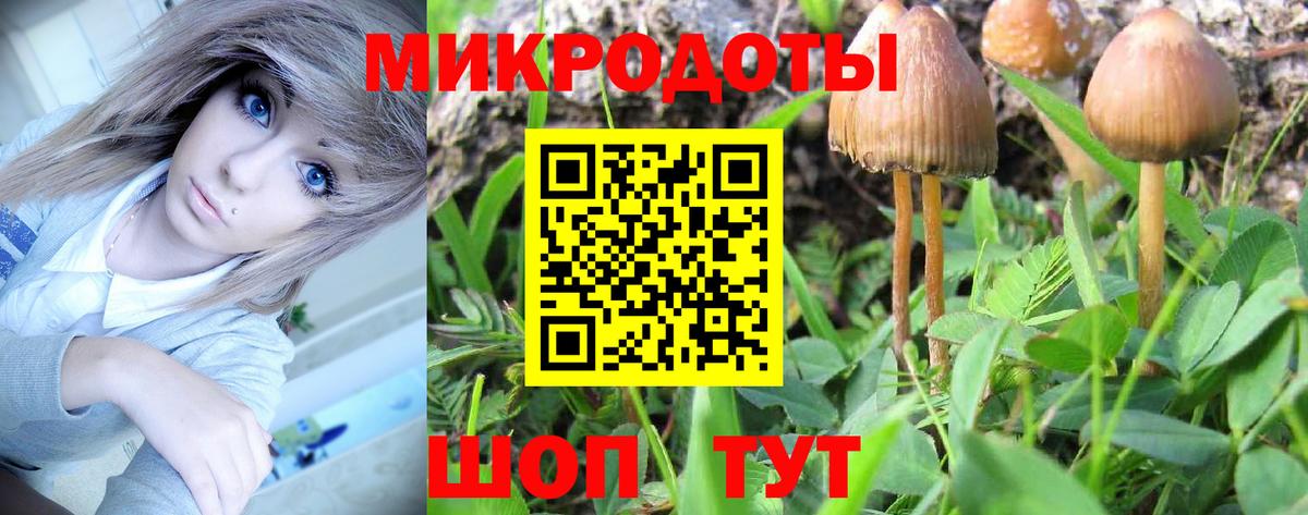 Галлюциногенные грибы Psilocybine cubensis  Вход с VPN  Псилоцибиновые грибы Psilocybe  Клин 